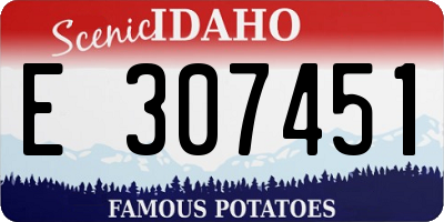 ID license plate E307451