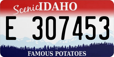 ID license plate E307453