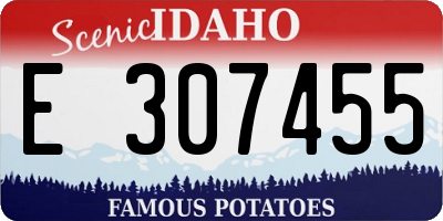ID license plate E307455