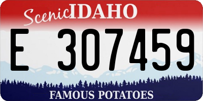 ID license plate E307459