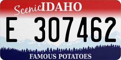 ID license plate E307462