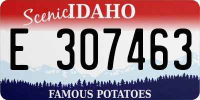 ID license plate E307463