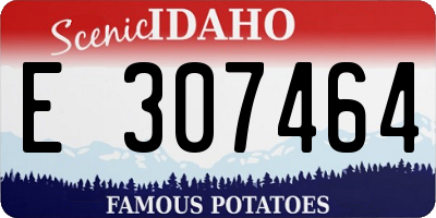 ID license plate E307464