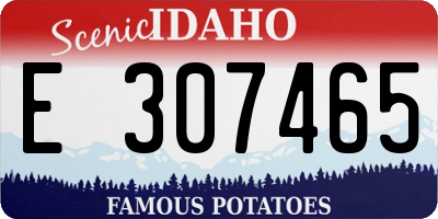 ID license plate E307465