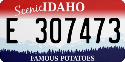 ID license plate E307473