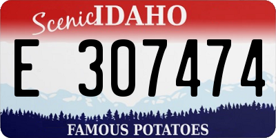 ID license plate E307474