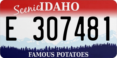 ID license plate E307481