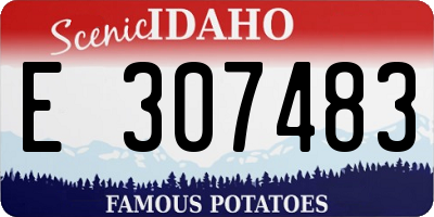 ID license plate E307483