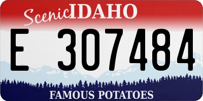 ID license plate E307484
