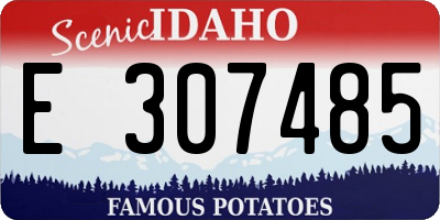 ID license plate E307485
