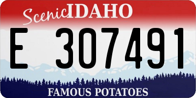 ID license plate E307491