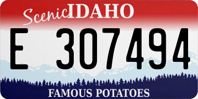 ID license plate E307494