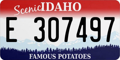 ID license plate E307497