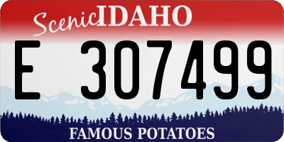 ID license plate E307499