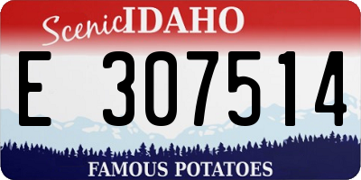 ID license plate E307514