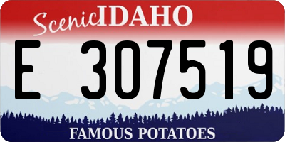 ID license plate E307519