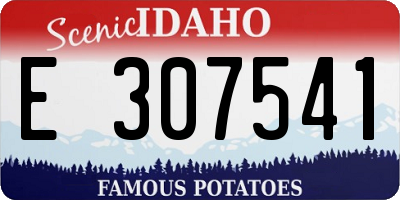 ID license plate E307541