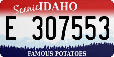 ID license plate E307553