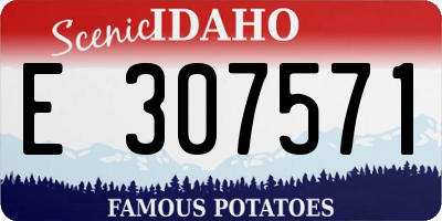 ID license plate E307571