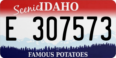 ID license plate E307573