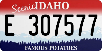 ID license plate E307577