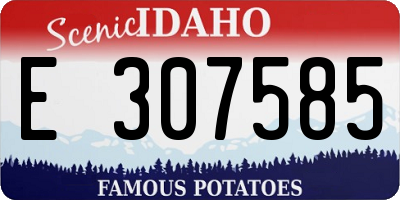 ID license plate E307585