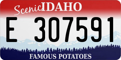 ID license plate E307591