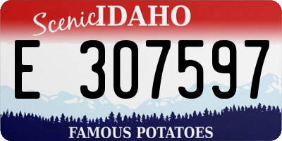 ID license plate E307597