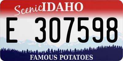 ID license plate E307598