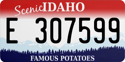 ID license plate E307599