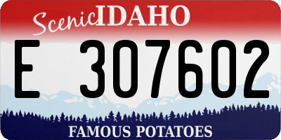 ID license plate E307602