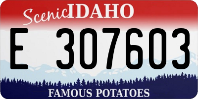 ID license plate E307603