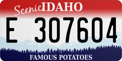 ID license plate E307604