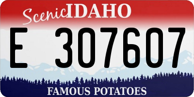 ID license plate E307607