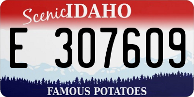 ID license plate E307609
