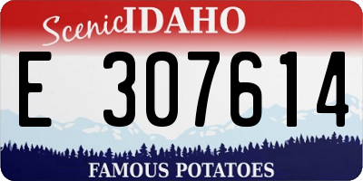 ID license plate E307614