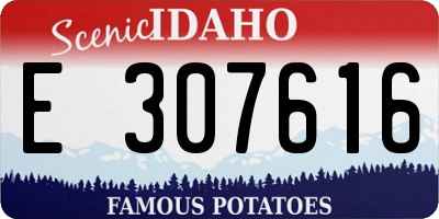 ID license plate E307616