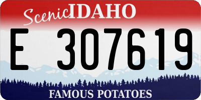 ID license plate E307619