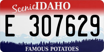 ID license plate E307629