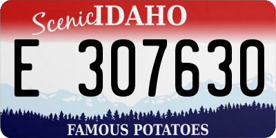 ID license plate E307630