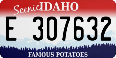 ID license plate E307632