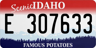 ID license plate E307633