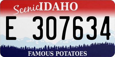 ID license plate E307634