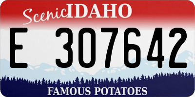 ID license plate E307642