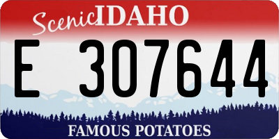 ID license plate E307644