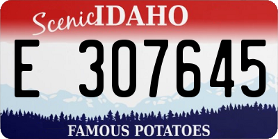 ID license plate E307645