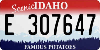 ID license plate E307647