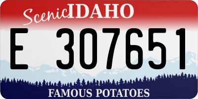 ID license plate E307651