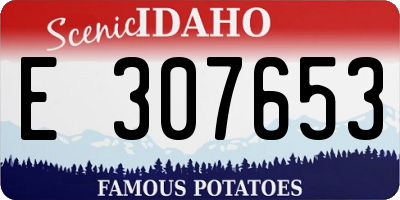 ID license plate E307653