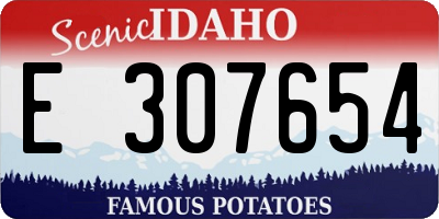 ID license plate E307654